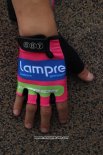 2014 Lampre Gants Ete Ciclismo